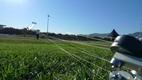 2012 Marseille – Dogstake 2012 Marseille - Barresi Dogstake